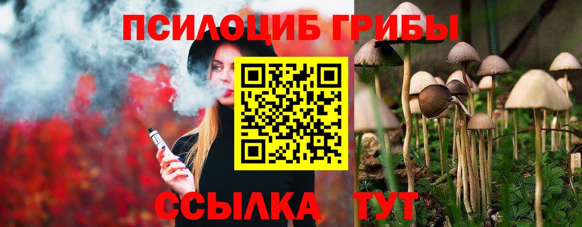 Галлюциногенные грибы MAGIC MUSHROOMS Новодвинск