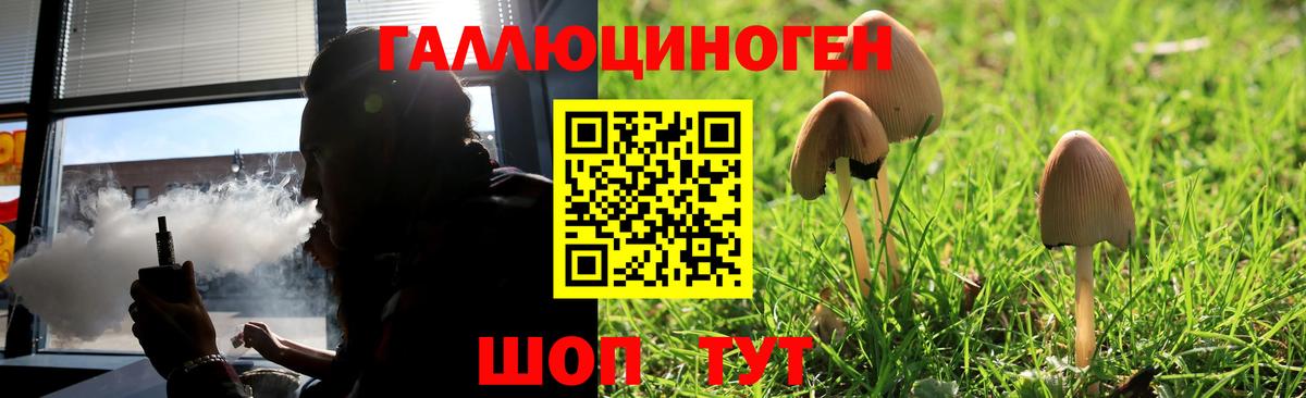 Псилоцибиновые грибы Cubensis  Вход с VPN  Новодвинск 